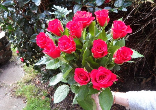 bunchofroses