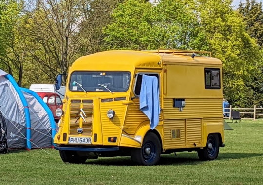 national31