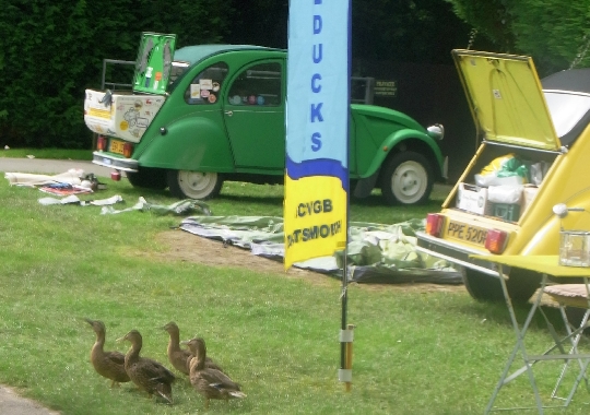 Puddleduckcamp2015Shirlspics5