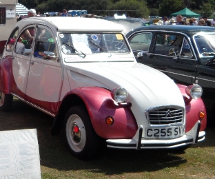 SAM5897
